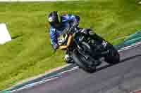 Middle Group Black Bikes